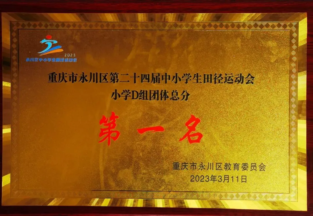 信息化设备如何提高篮球训练中的反馈速度_0